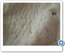 collection 4 pelo 83